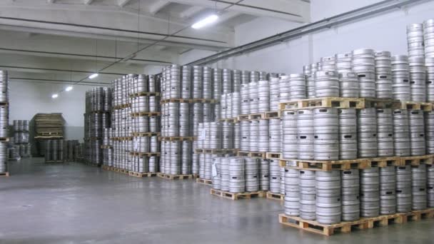 Forklift operator stores keg pallet — Stock Video