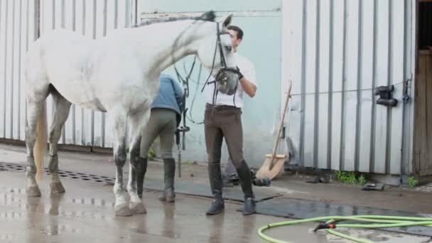 Jockey e seu assistente desarreiam cavalo — Vídeo de Stock