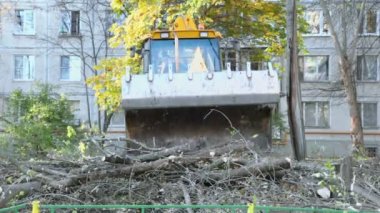 Ekskavatör ahşap parçaları alır