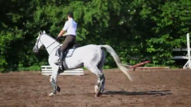 Süvari sırtında rides