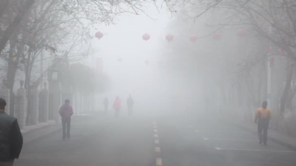 As pessoas caminham pela rua — Vídeo de Stock