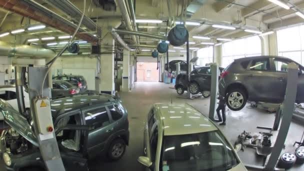 Autos stehen in Garage des Service-Centers — Stockvideo