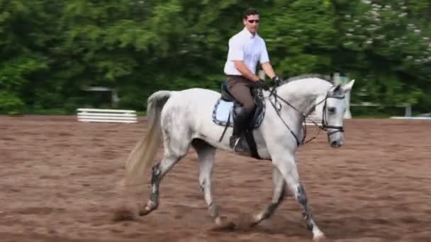 Ryttaren rider på hästryggen — Stockvideo