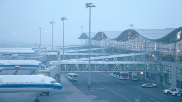 Los aviones se paran cerca de las terminales del aeropuerto — Vídeo de stock