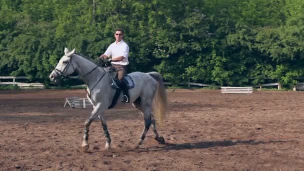 Ryttaren rider på hästryggen — Stockvideo