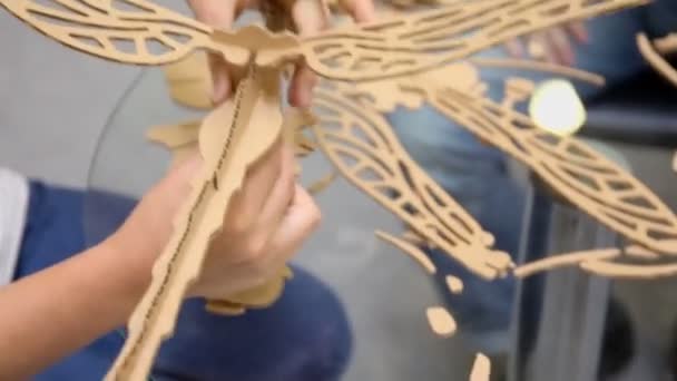 Handen maakt dragonfly model — Stockvideo