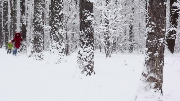 Familie gerund onder bomen — Stockvideo