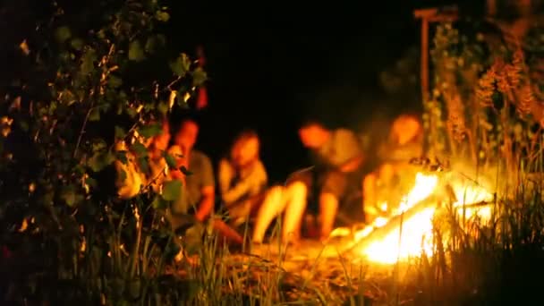 Hommes et femmes s'assoient au feu — Video