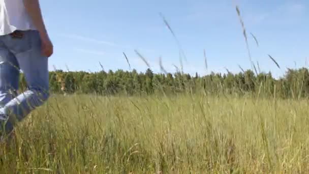 Man gaat in veld — Stockvideo