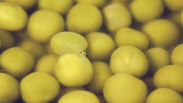 Many green peas in liquid marinade — Stock Video