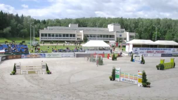 Los caballos superan los obstáculos en las competiciones internacionales — Vídeo de stock