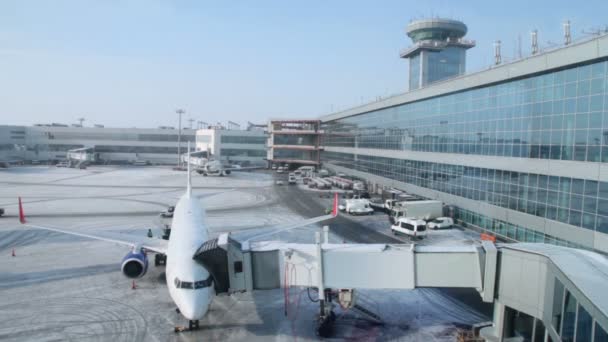 Letadlo na letišti Domodědovo v zimě den — Stock video