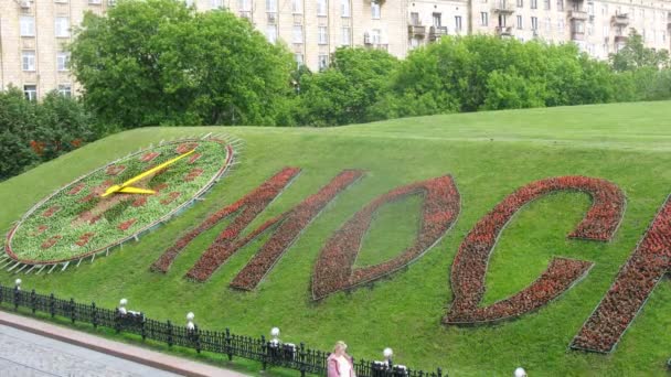 Flower clock-beds decorate hill — Stock Video