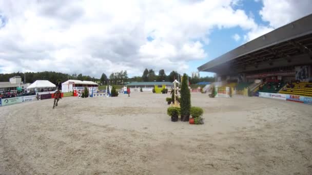 参加国际比赛的马匹 — 图库视频影像