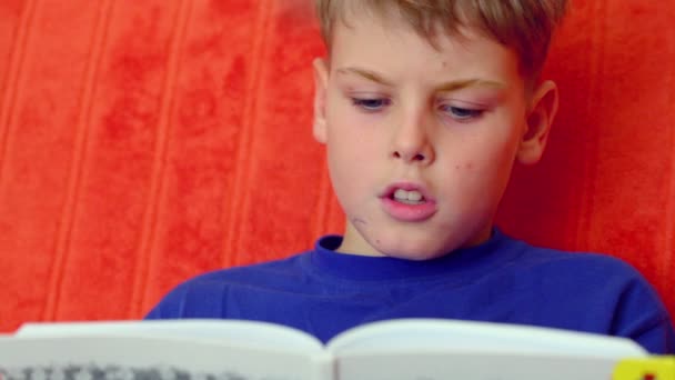 Young boy shirt reads book — Stock Video