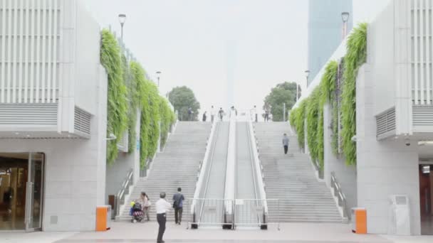 İnsanlar merdivenlerden tarafından yürüyüş — Stok video
