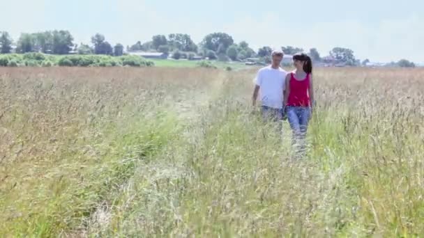 Молодая пара в поле — стоковое видео