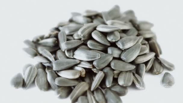 Dry black sunflower seeds — Stock Video