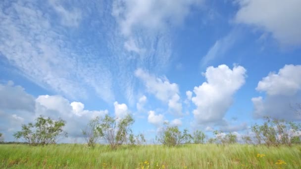 Wolken am blauen Himmel — Stockvideo