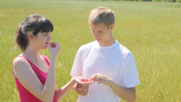 Girl and guy eat wild strawberry — Stock Video
