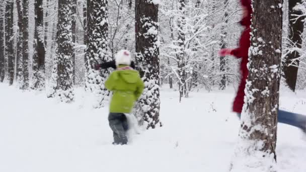 Course familiale parmi les arbres — Video