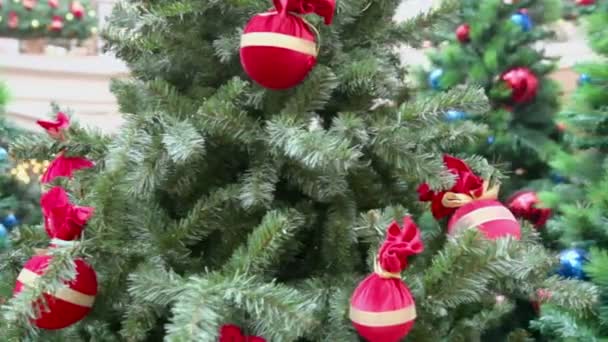 Colorful toy balls on branch — Stock Video