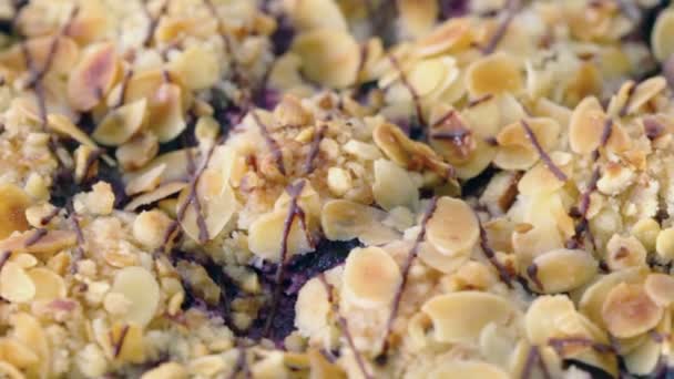 Cake with candied fruit and nuts — Stock Video