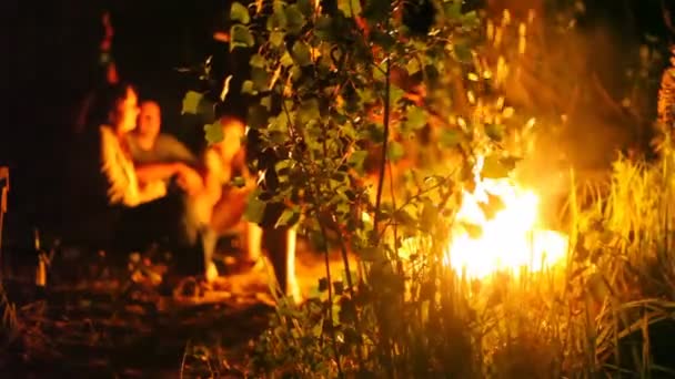 La gente se sienta en el arbusto del árbol en crecimiento — Vídeos de Stock