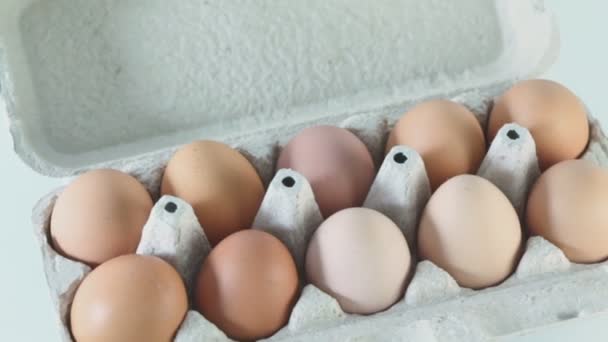 Deset hnědá vejce v lepenkové nádoby