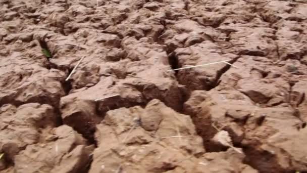 Braune Oberfläche aus fehlerhaftem Ton — Stockvideo