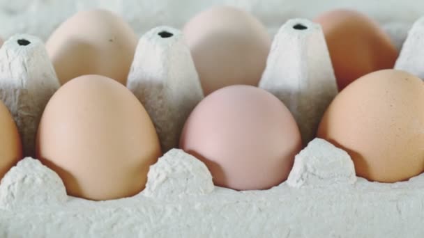 Tien bruin eieren in kartonnen verpakking — Stockvideo