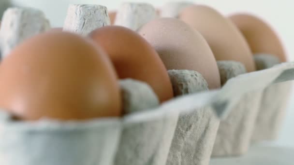 Diez huevos marrones en envase de cartón — Vídeos de Stock