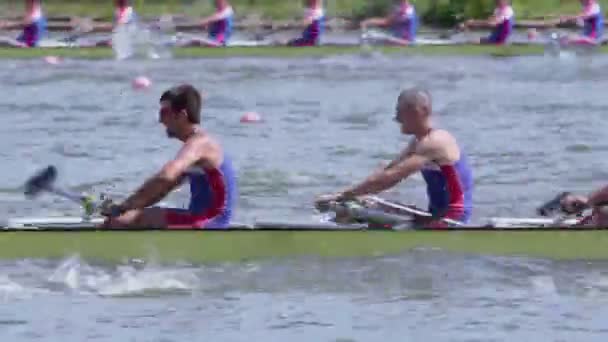 Equipos masculinos reman en kayak — Vídeo de stock