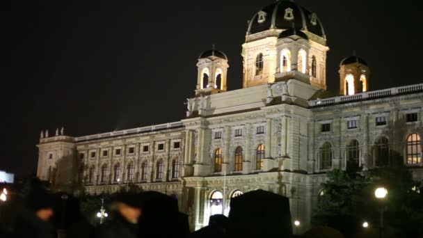 Menschen in der Nähe des Museums der Schönen Künste — Stockvideo