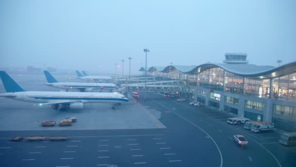 Airliners stand near airport terminals — Stock Video