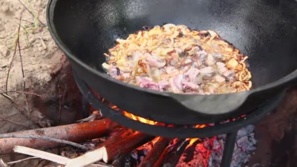 Oignon grillé à l'ébullition de viande — Video