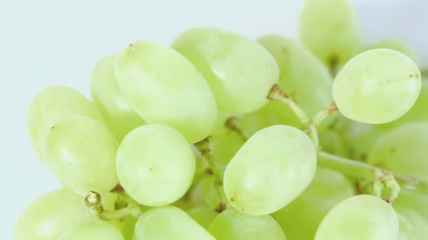 Uvas verdes frescas — Vídeos de Stock