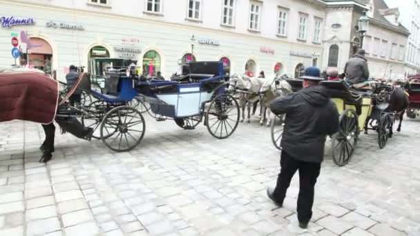 Vehicles harnessed by horses on streets — Stock Video