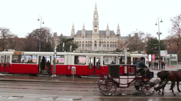 Vehicle with horses passes by tram — Stock Video