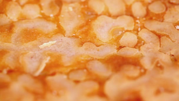 Surface of sweet pie with jelly — Stock Video