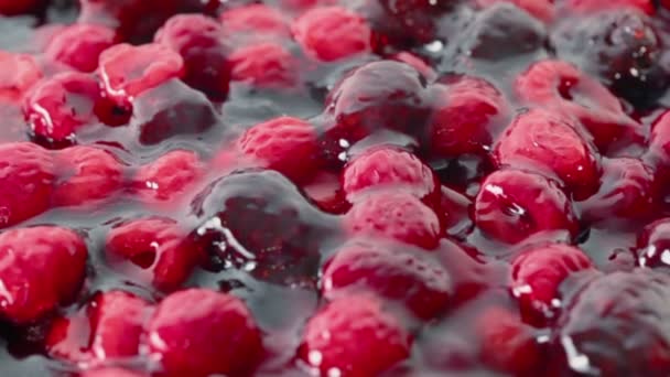 Red berries in jelly — Stock Video