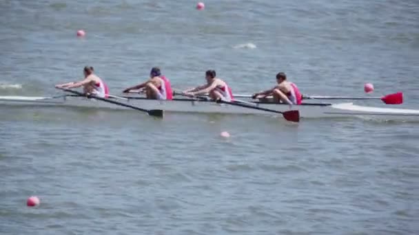 Quatro homens remar em caiaque — Vídeo de Stock