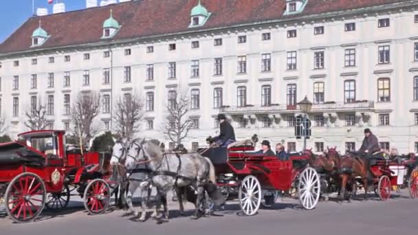 Vagnar med turister i Wien — Stockvideo