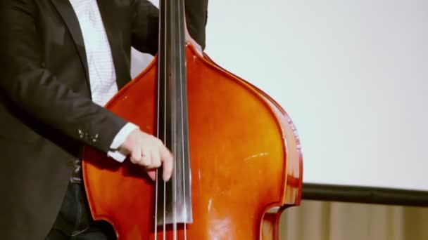 Man plays contrabass — Stock Video