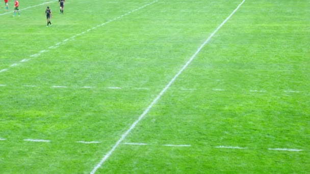 Campionato europeo di rugby — Video Stock