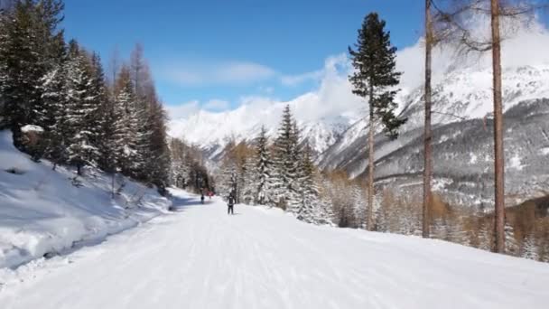 Skiers go on mountain slope — Stock Video