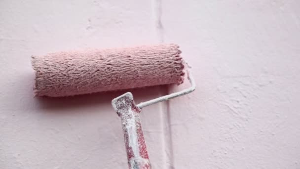 Paint roller with handle — Stock Video