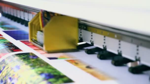 Impression image colorée 