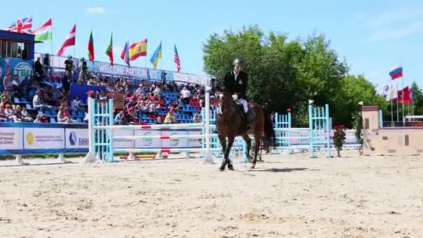 Rytter rider på hest – Stock-video