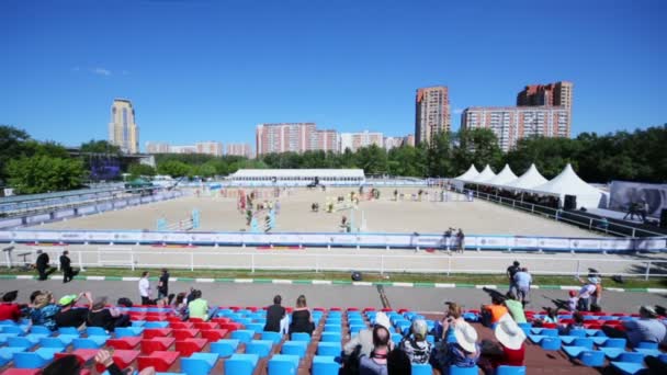 Deportista participar en competiciones de caballos — Vídeos de Stock